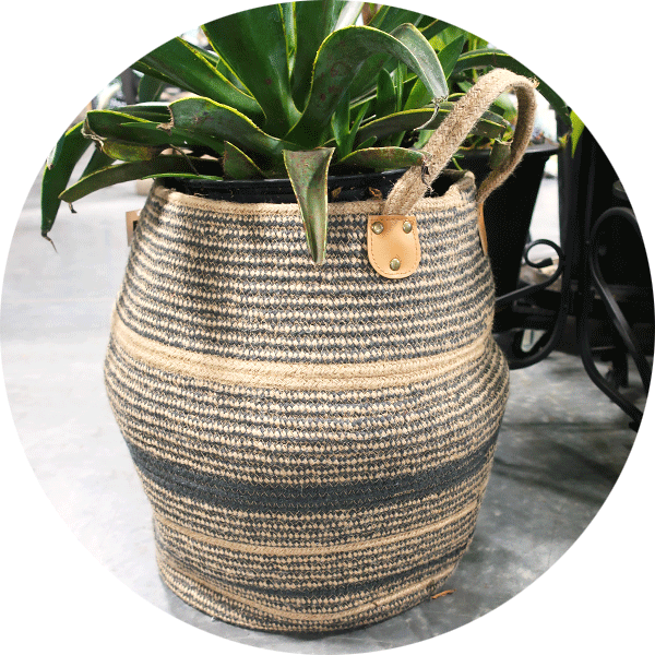  Woven Plant Basket with green spikey plant inside